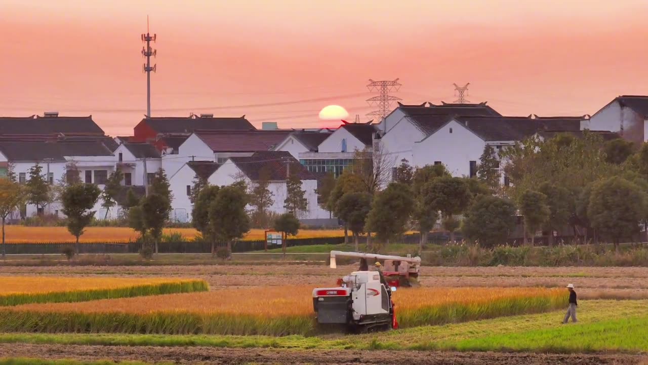 How about this view of autumn harvest under the sunset?