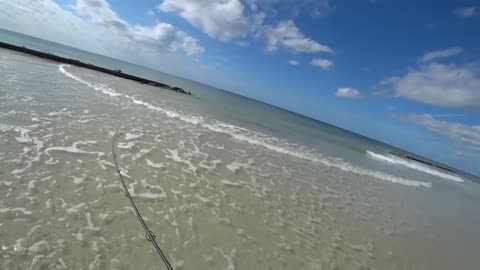 a pesca anche un bel drum fish oltre agli sheepshead pescati tutti con gli shrimp.f270_part2