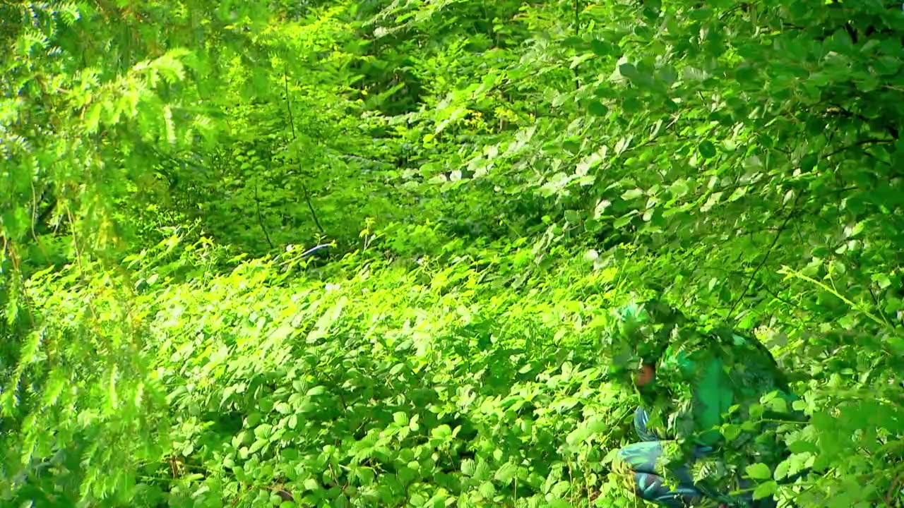 Mi Mascota y Yo - T1E03 - Insectos palo