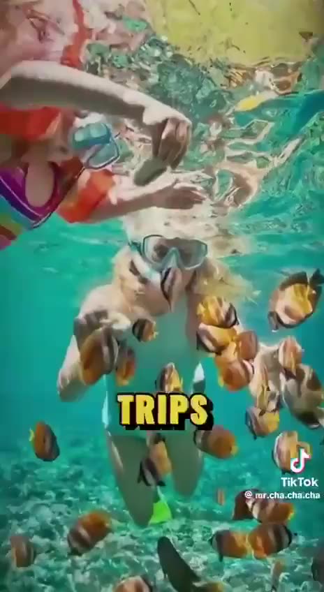 Disney sent children to Epstein Island under the guise of snorkeling.