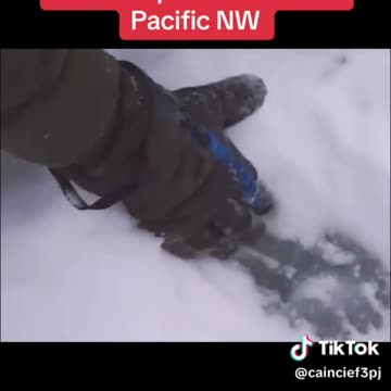 Massive footprints spark new sasquatch search in Pacific NW