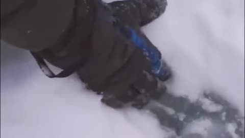 Massive footprints spark new sasquatch search in Pacific NW