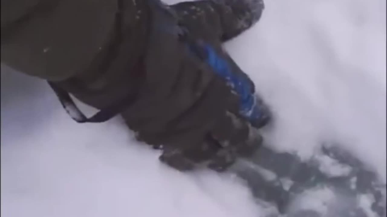 Massive footprints spark new sasquatch search in Pacific NW