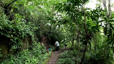 Hiking Trail at a Butterfly Garden in San Jose Costa Rica