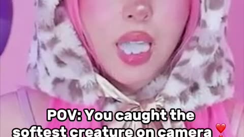 POV: You caught the softest creature on camera