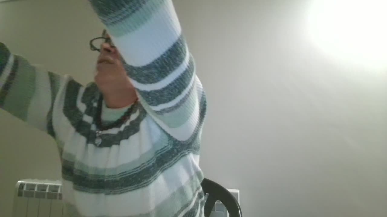 THE VOYNICH MANUSCRIPT