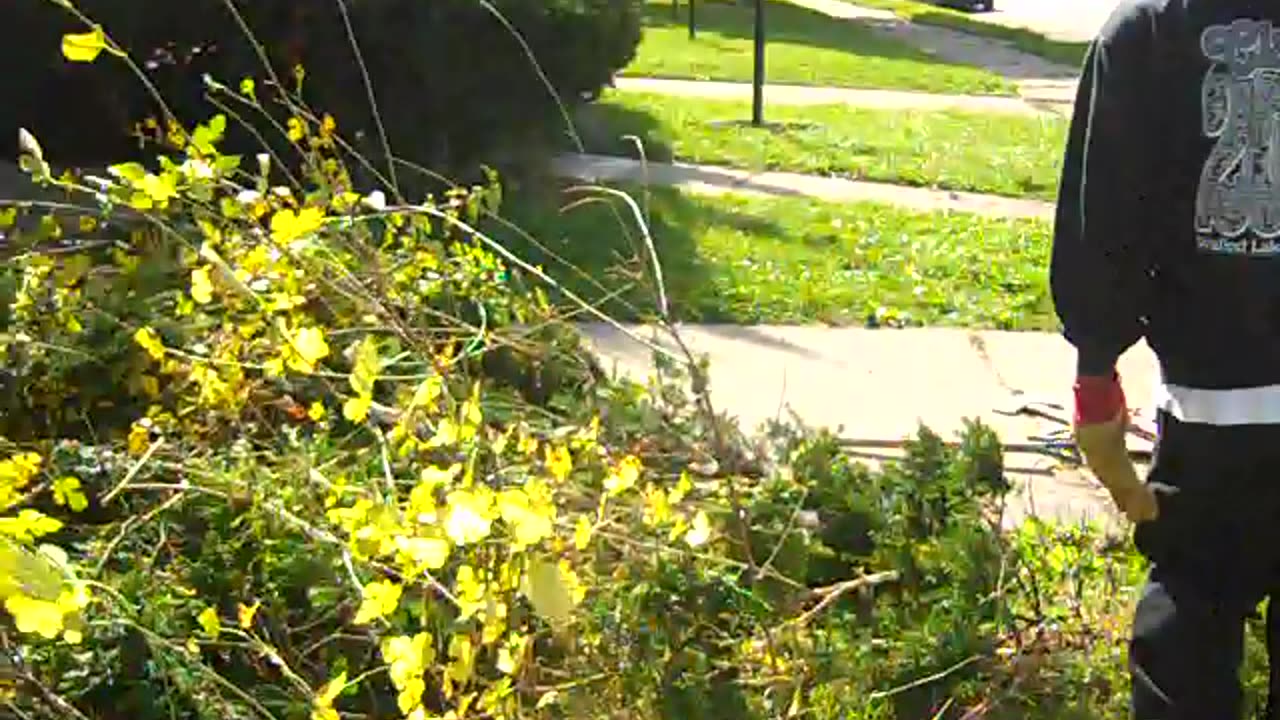 Pt2 of Dr Mike_s house, THE SHEA SHOW