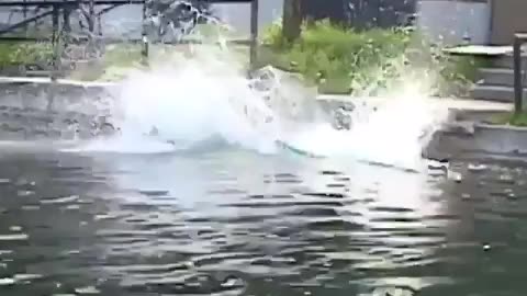 stalefish?