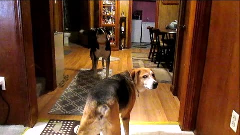 Rocky Sings! Bobbi is his manager.