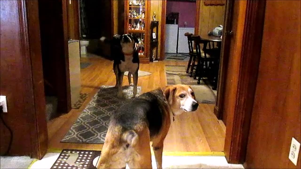 Rocky Sings! Bobbi is his manager.
