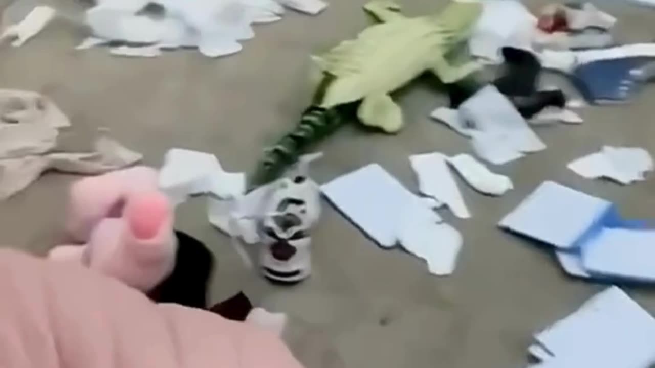 FUNNY ANIMAL COMPILATIONS - PART 39