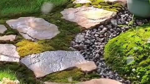 Enjoy the beauty of the garden given by God