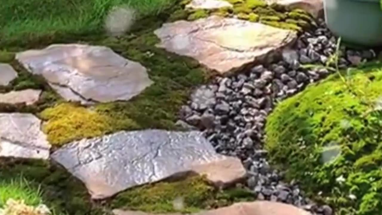Enjoy the beauty of the garden given by God