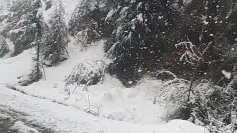 Amazing snowfall live moment