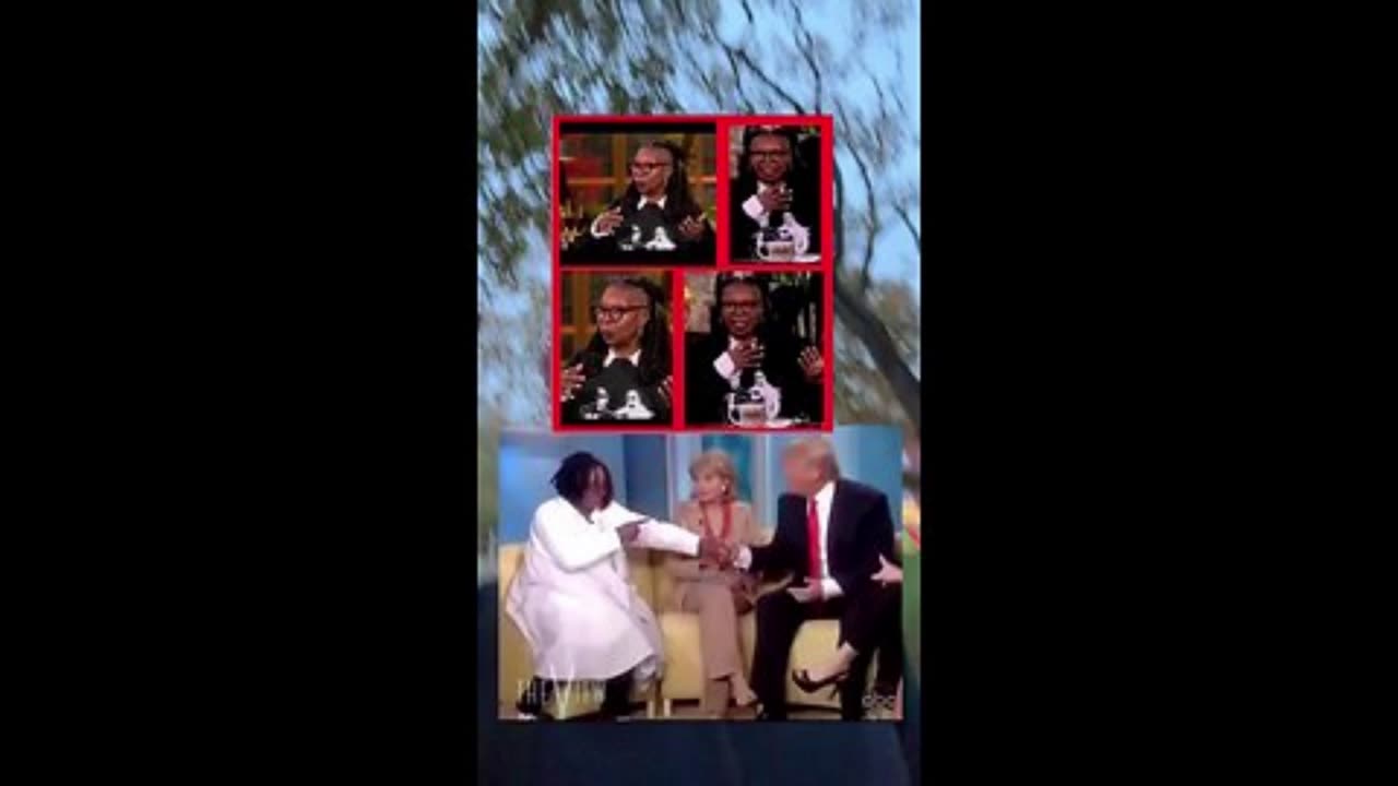 Whoopie Goldberg Ghosts in the Machine