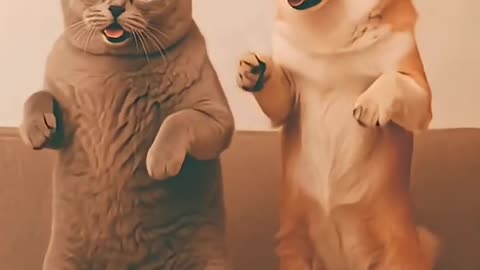 😺Cat Dancing with His Friend The Dog | Funny Cat Video