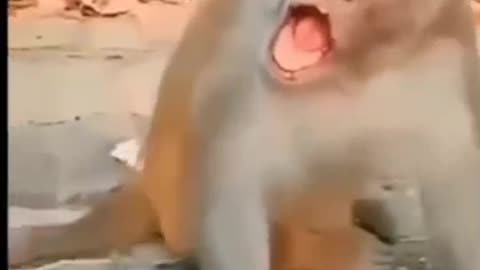 Funny baby
