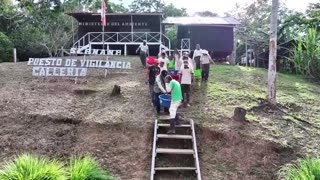 Peru frees thousands of taricaya turtles to boost population