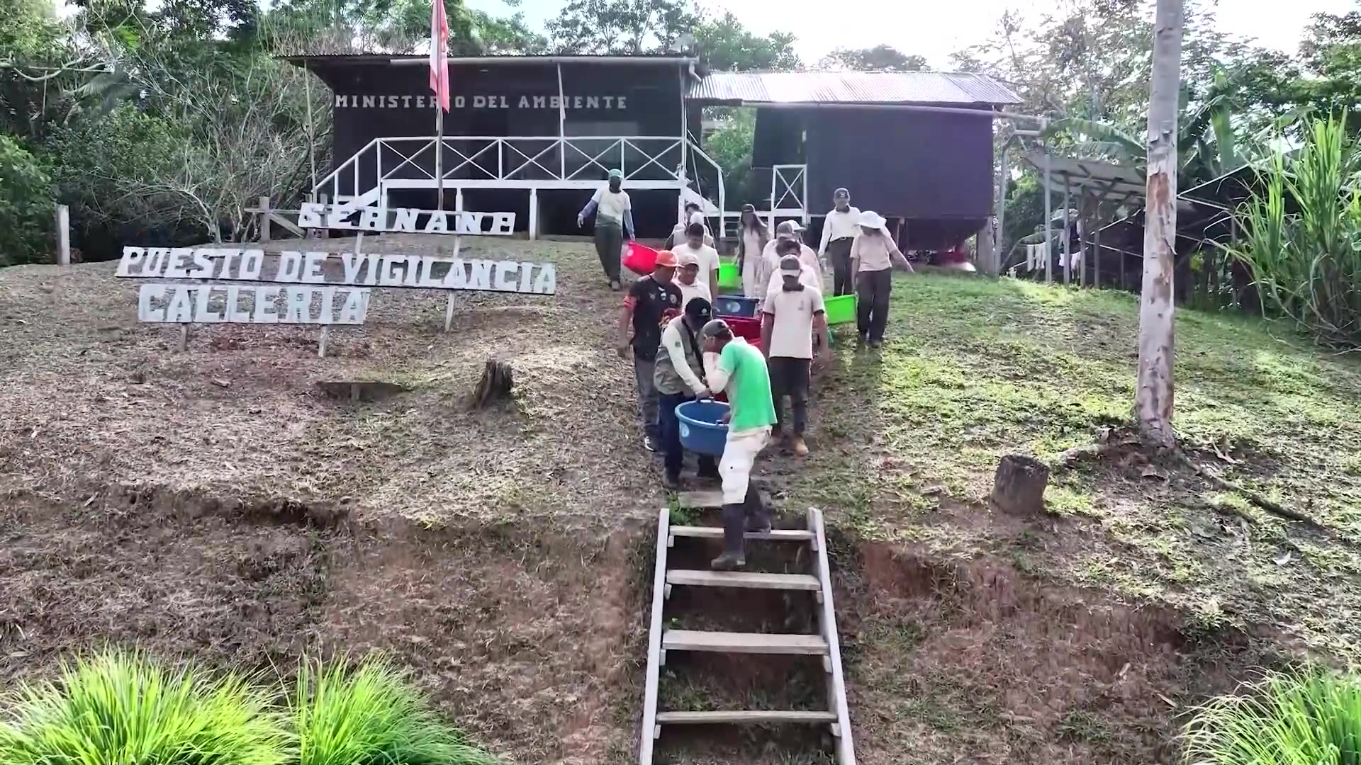 Peru frees thousands of taricaya turtles to boost population