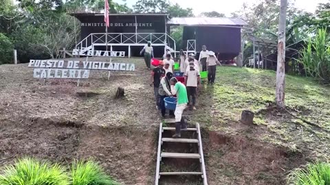 Peru frees thousands of taricaya turtles to boost population