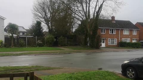 Crimes of the Crown Royal Blue MURDER