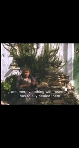 Rosemary and southernwood