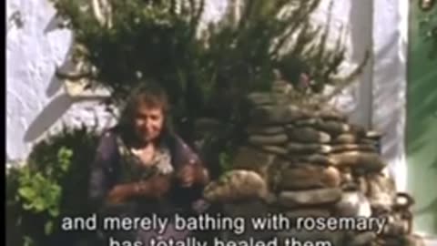 Rosemary and southernwood