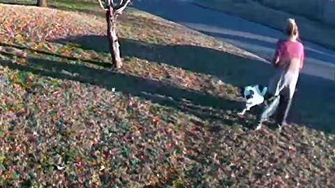 Funny Bummer Fails & Epic Moments! Hilarious Compilation