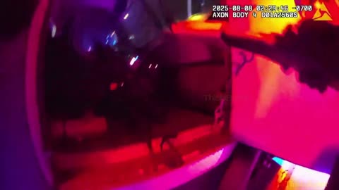 Bodycam footage shows Modesto police officer shooting driver who was charging towards them