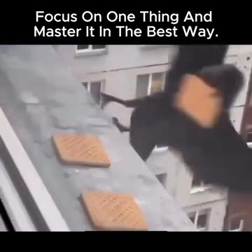 Have you ever felt lost amidst a million tasks? 🤯