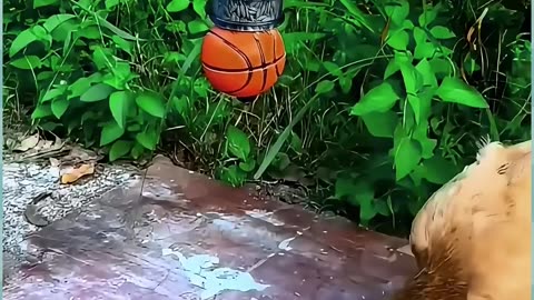 7 Useful Tips & Tricks (121)! Follow & Like for Smart Life Hacks Everyone Needs! (121)