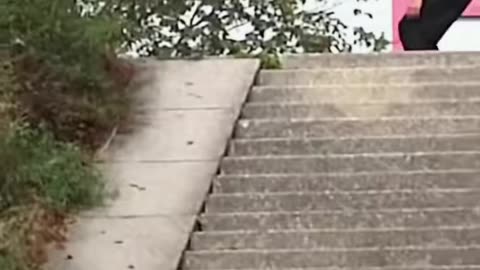 🔥🦟 Nik Stain Conquers the Flies! | SkateNation