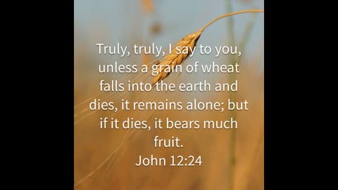 If It Die John 12:24
