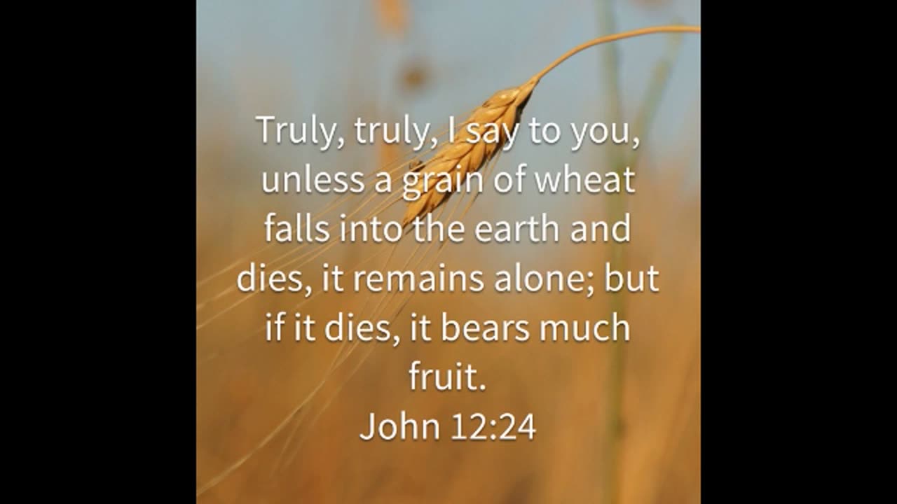If It Die John 12:24