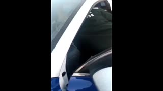 La REPENTINITIS fue anunciado hace meses por algunos biólogos. Covid 19 Plandemia Coronavirus