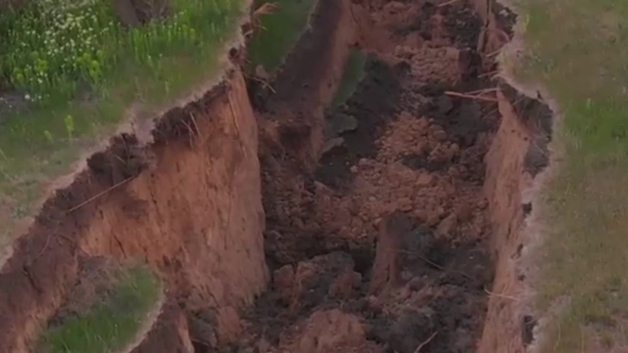 🌍 Global Pulse – December 1, 2025