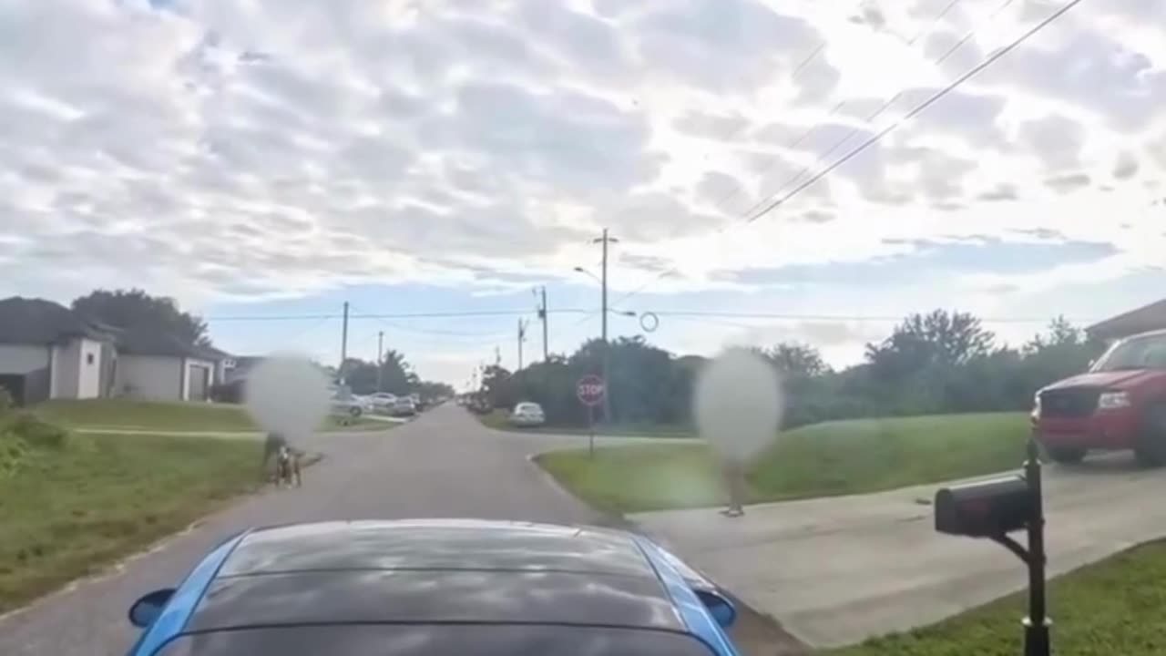🚨 ROAD RAGE CAUGHT ON CAMERA 🚨