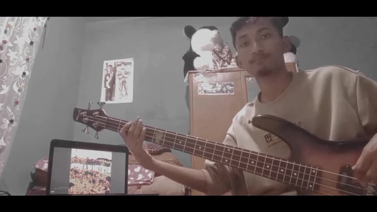 Psycho (System of Down) bass guitar cover