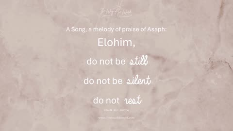 Be "Still", I will fight for you
