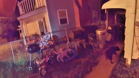 Bodycam footage shows Fort Wayne PD rescue dogs from massive fire