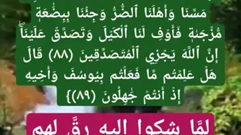 بين اثر الكلمه الطيبه على النفوس؟