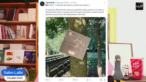 Actu Scalpel 23 juillet 25 Jean Messiha lislamophobe plagiaire hypocrite adepte de la TAKIA