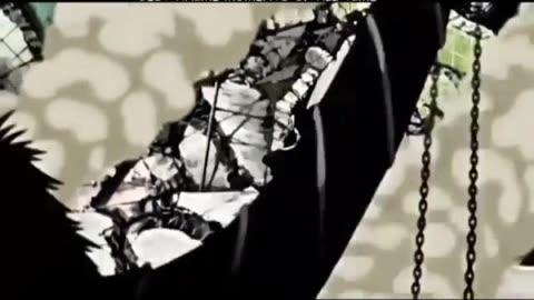 02.163.Insect-bleach-and-dmc-4_