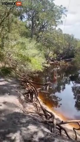 She Didn't Want to Let Go