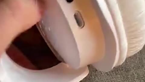 JBL Tune 510BT Wireless Headphones 🎧 40H Playtime