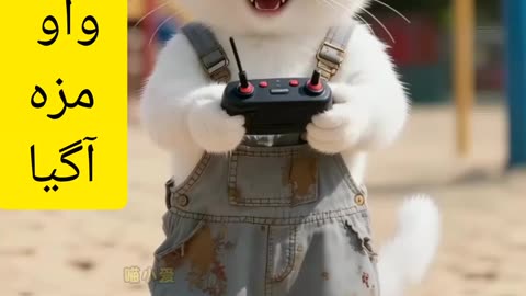 Kid cat doing misbehave with kitten