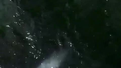 A Look at Germany's New Grayshark Autonomous Heavy Submarine