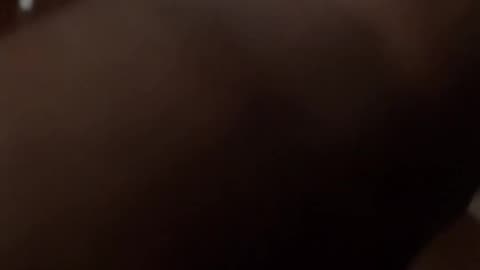 RascalZone Anger Issues (x22s Silent Mod)