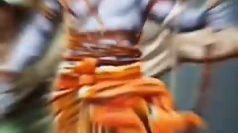 Jai shree Ram Jai bhole nath Ji ki