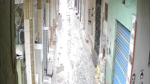 Camera1_elsayed_elsayed_20250210123036_20250210141810_6768999